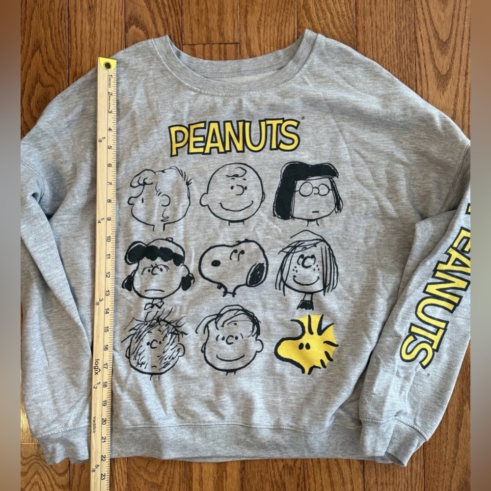 Peanuts Snoopy And Friends Sweatshirt Large Gray Long Sleeve